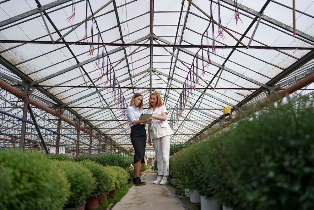 The Art of Greenhouse Construction